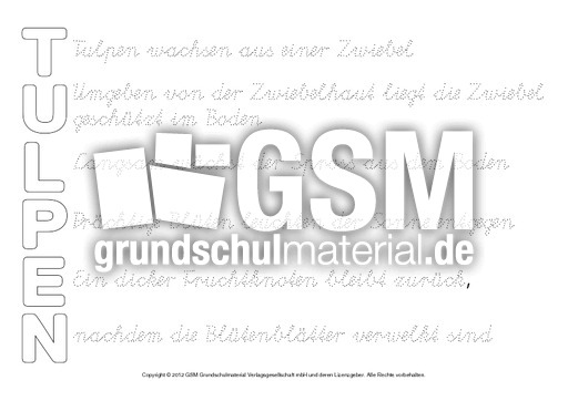 Akrostichon-Tulpe-SAS.pdf